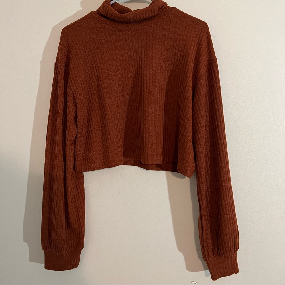 Cropped flowy turtleneck